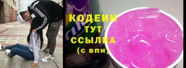 ECSTASY Алзамай