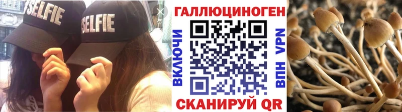 Галлюциногенные грибы Magic Shrooms купить shop какой сайт Сухой Лог