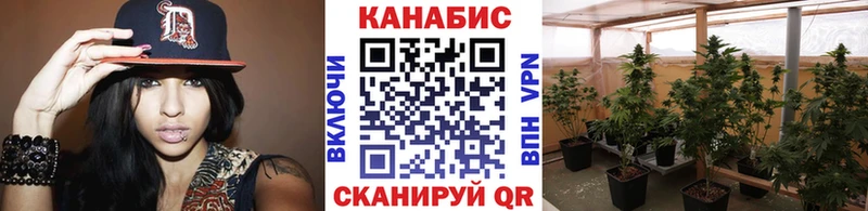 KRAKEN зеркало  Сухой Лог  МАРИХУАНА OG Kush 